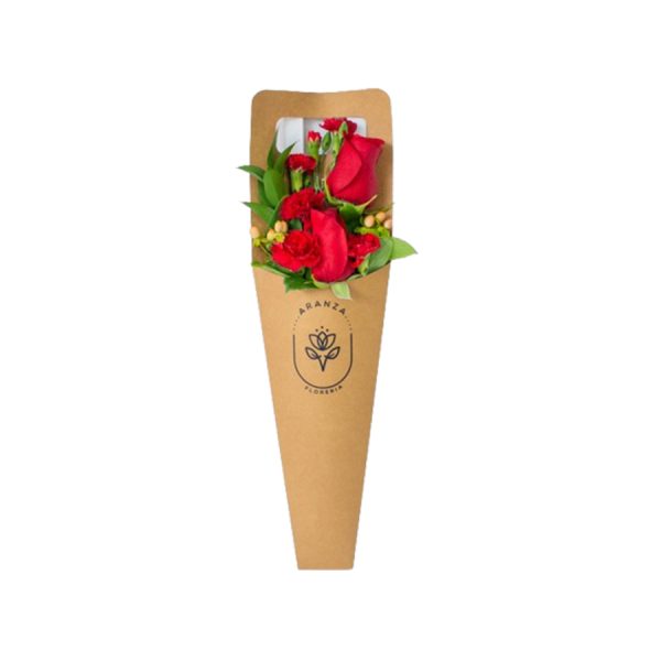 Cono de 2 rosas rojas