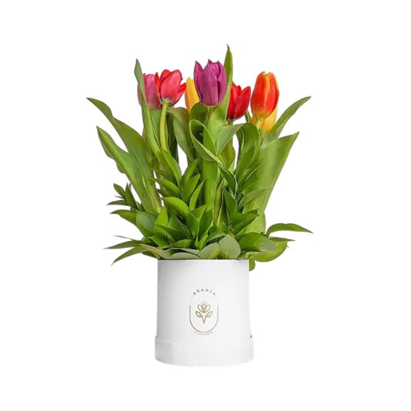 Box Blanco con 10 Tulipanes de Colores