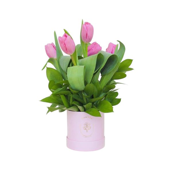 Box de 5 Tulipanes Rosados