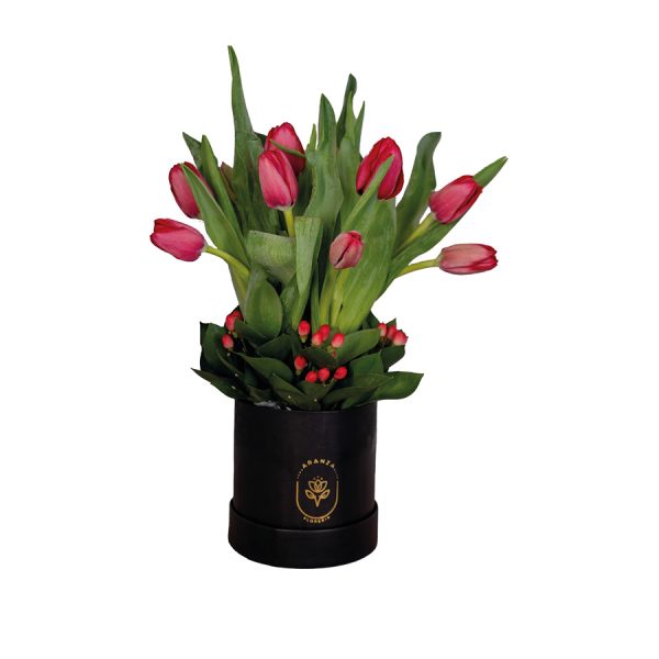 Box con 10 Tulipanes Rojos